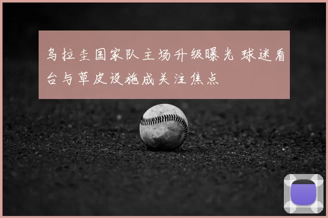 乌拉圭国家队主场升级曝光 球迷看台与草皮设施成关注焦点