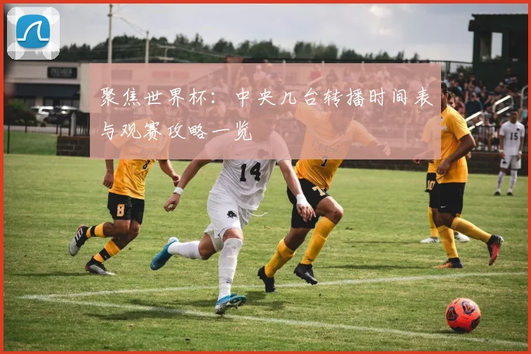 聚焦世界杯：中央几台转播时间表与观赛攻略一览