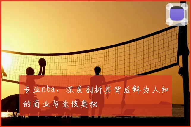 专业nba，深度剖析其背后鲜为人知的商业与竞技奥秘