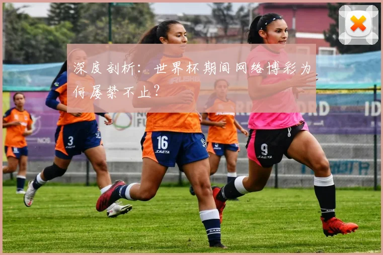 深度剖析:世界杯期间网络博彩为何屡禁不止?