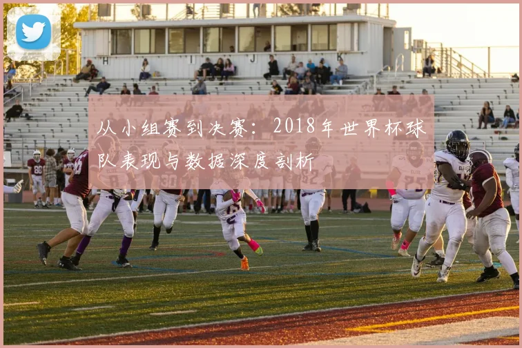 从小组赛到决赛：2018年世界杯球队表现与数据深度剖析